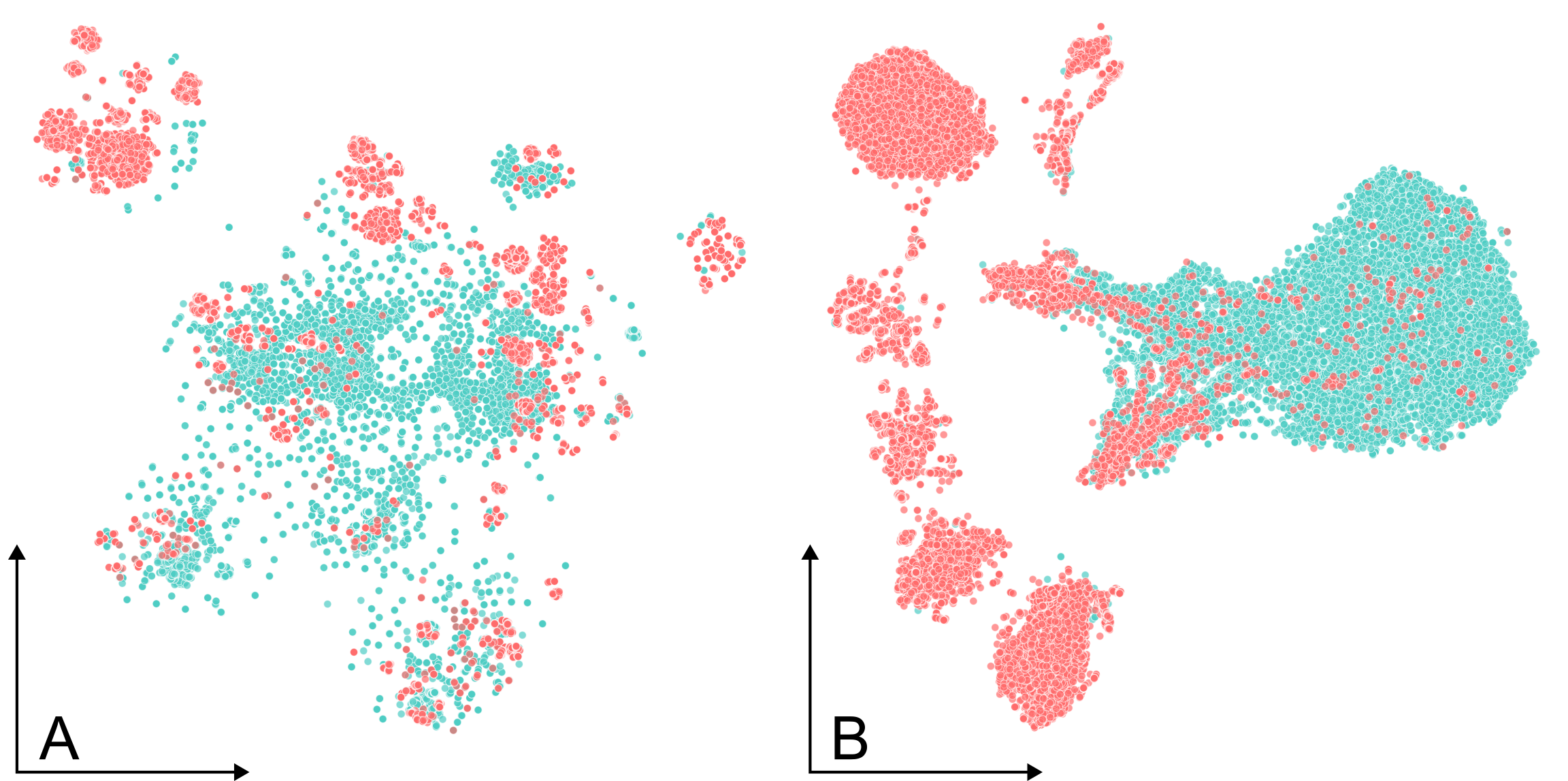 t-SNE visualization of virus sequence embeddings