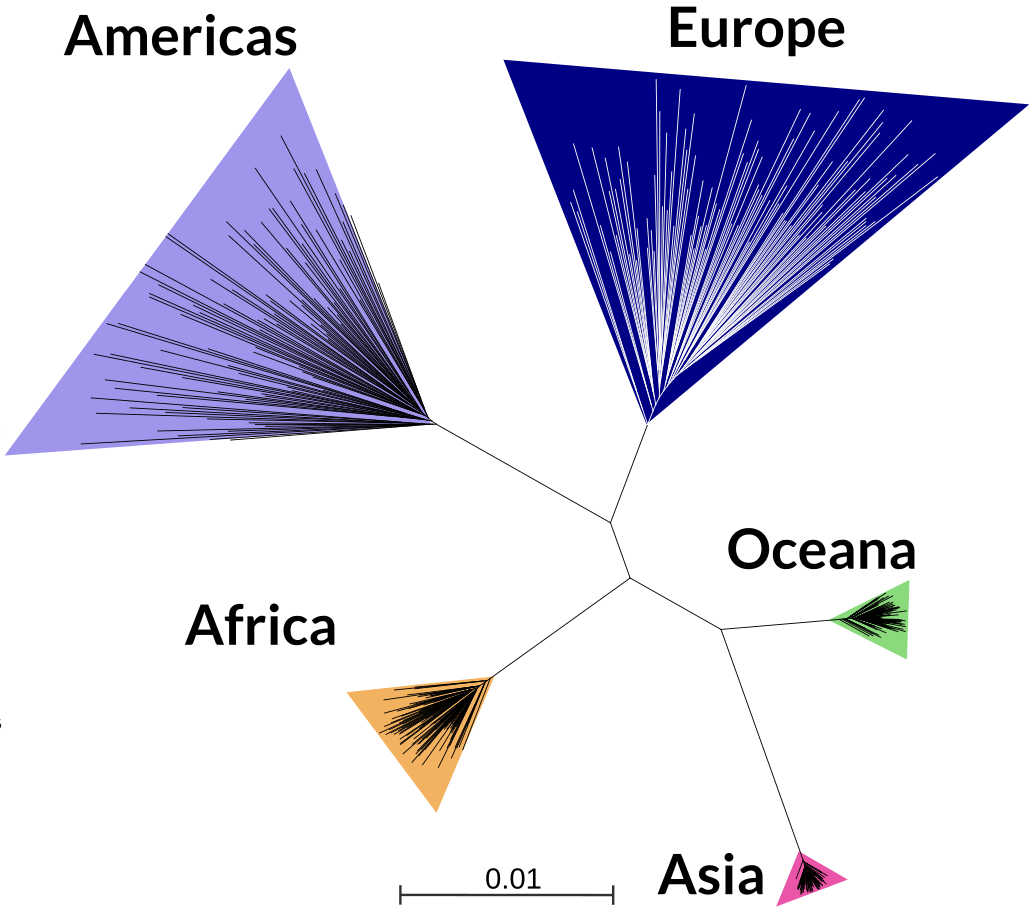 Phylogenetic Tree of Artificial HCMV Genomes